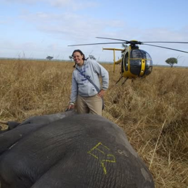 Author with Elephant
